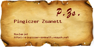 Pingiczer Zsanett névjegykártya